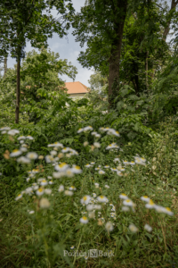 Cyklovýlet kaštiel a park Malinovo na bicykli